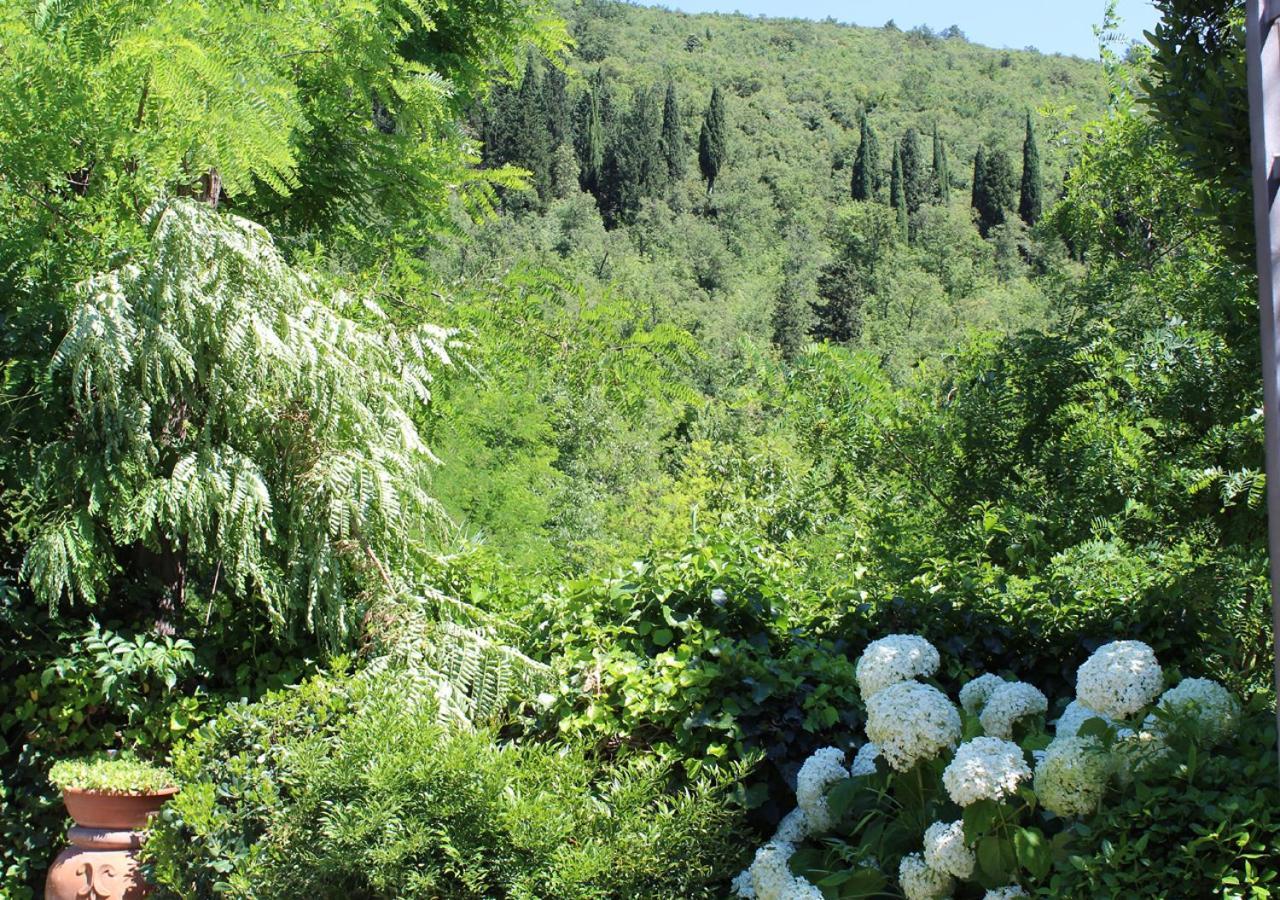 Ulivo Rosso Bed and Breakfast Sesto Fiorentino Εξωτερικό φωτογραφία