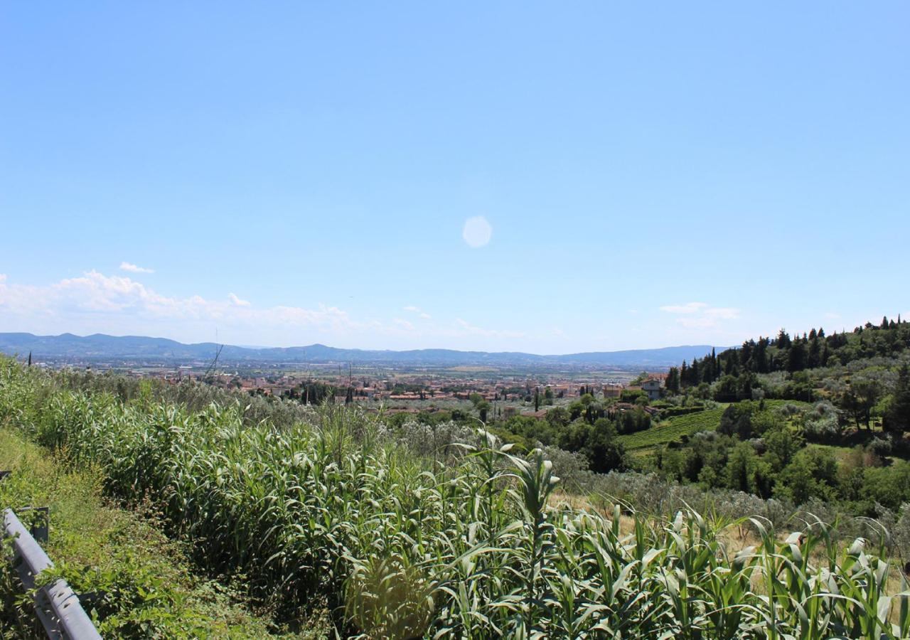 Ulivo Rosso Bed and Breakfast Sesto Fiorentino Εξωτερικό φωτογραφία